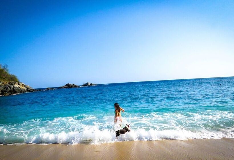 בית מלון כפרי Casa Morena