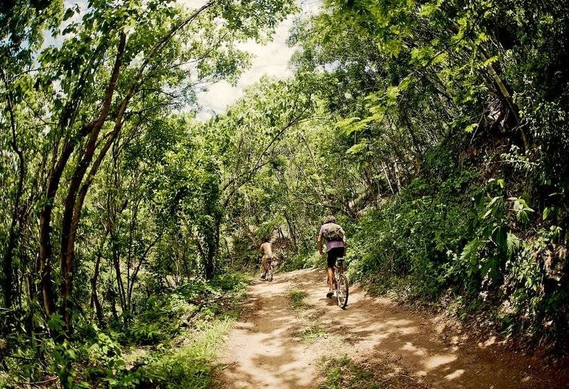 בית מלון כפרי Casa Morena