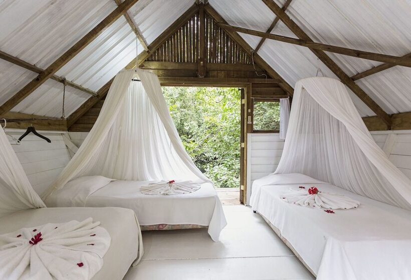 هتل Hacienda Tijax