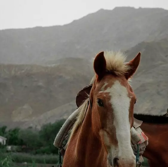 Hotelli La Confianza