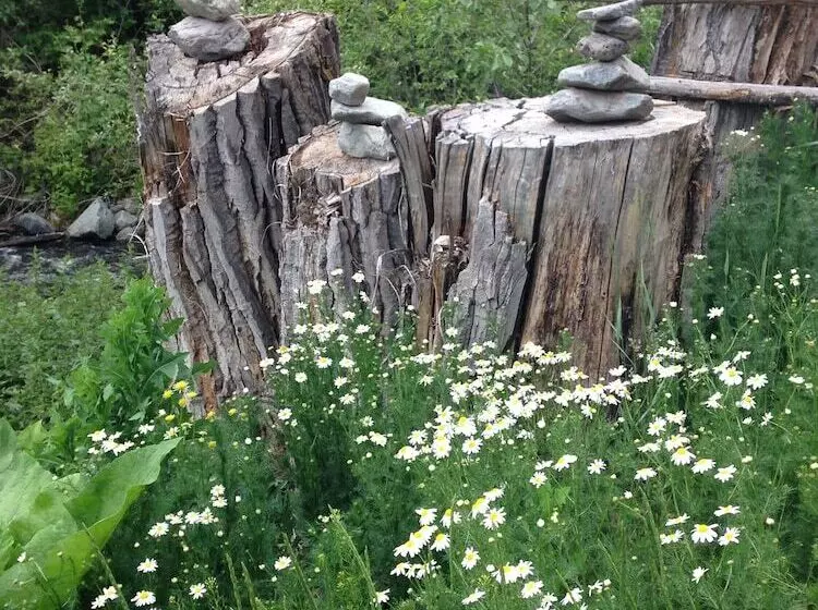 Maaseutuhotelli Yd Guest Ranch