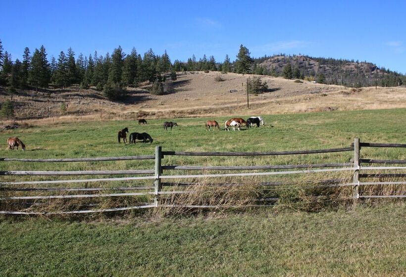 فندق ريفى Yd Guest Ranch