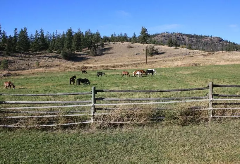 Maaseutuhotelli Yd Guest Ranch