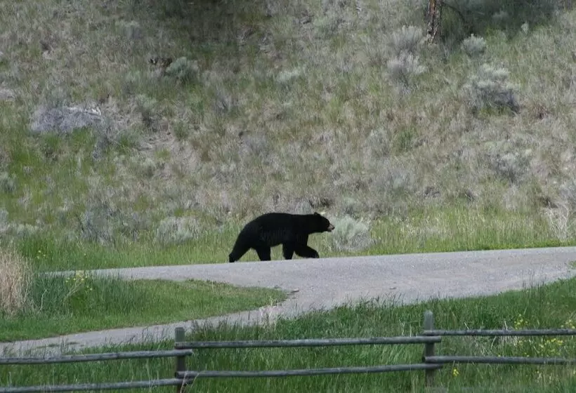 Maaseutuhotelli Yd Guest Ranch