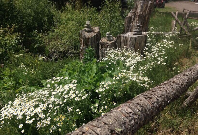 فندق ريفى Yd Guest Ranch