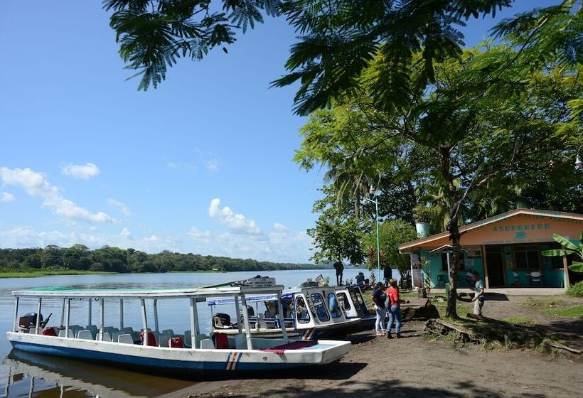 هتل Tortuguero Jungle