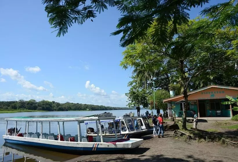 ホテル Tortuguero Jungle