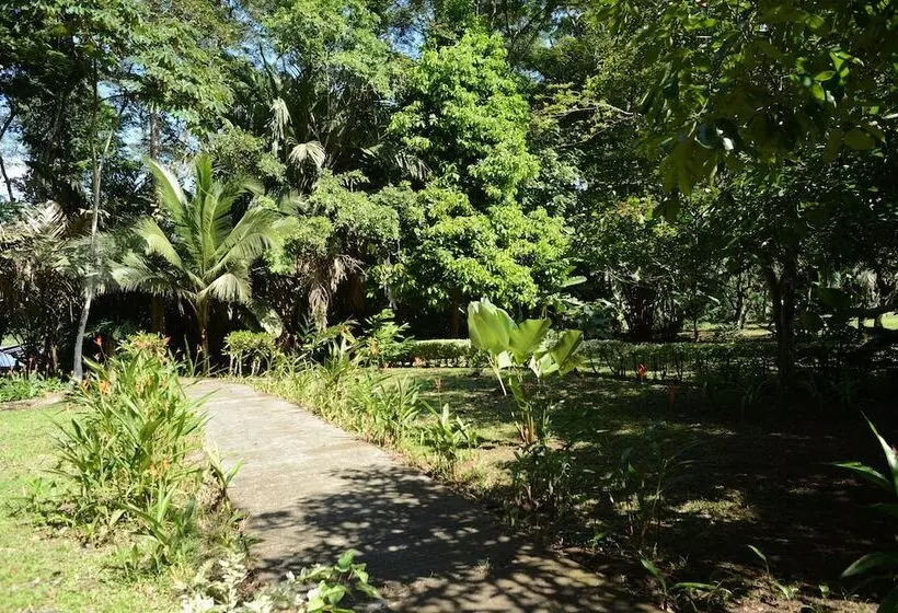 ホテル Tortuguero Jungle