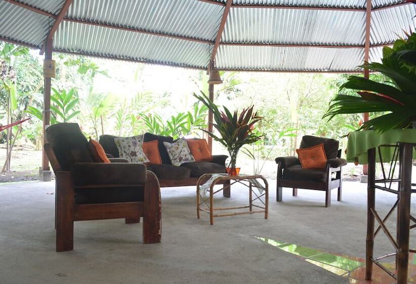 هتل Tortuguero Jungle