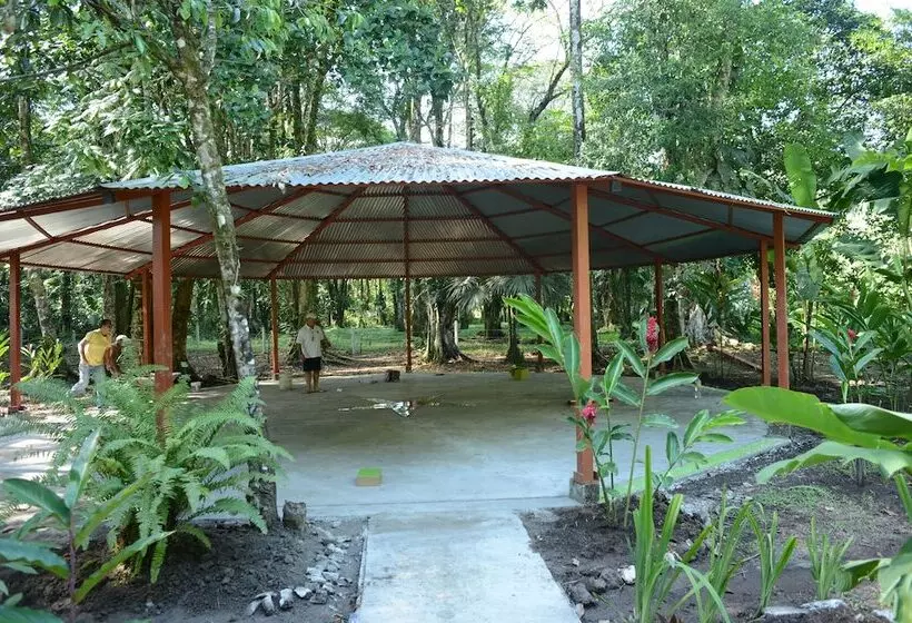 ホテル Tortuguero Jungle