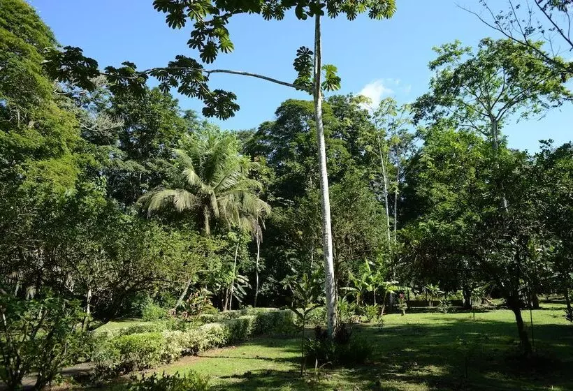 ホテル Tortuguero Jungle