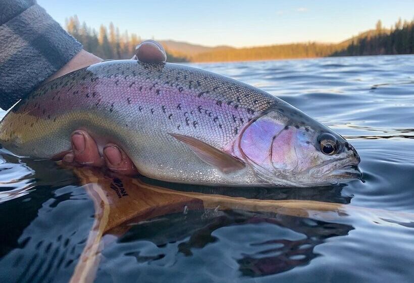 Lac Des Roches Resort