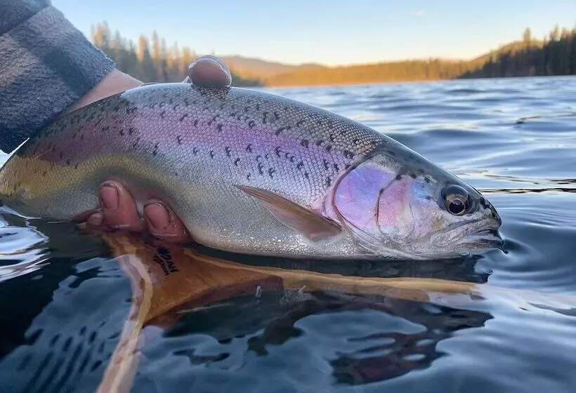 Lac Des Roches Resort