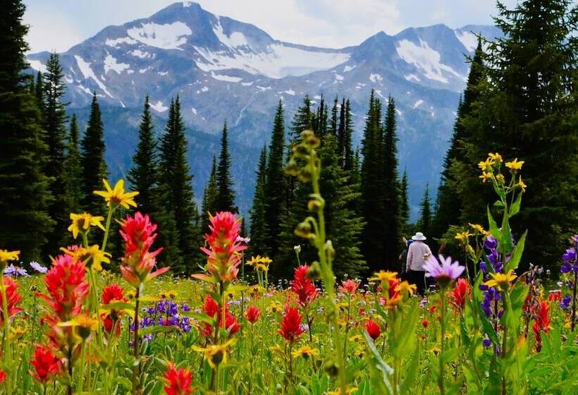 Lac Des Roches Resort