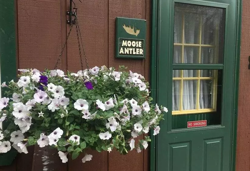 Moose Track Adventures Resort