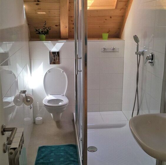 بنسيون Guesthouse Bor