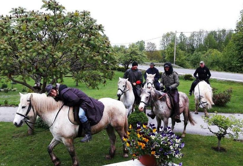 بنسيون Ranch Terra