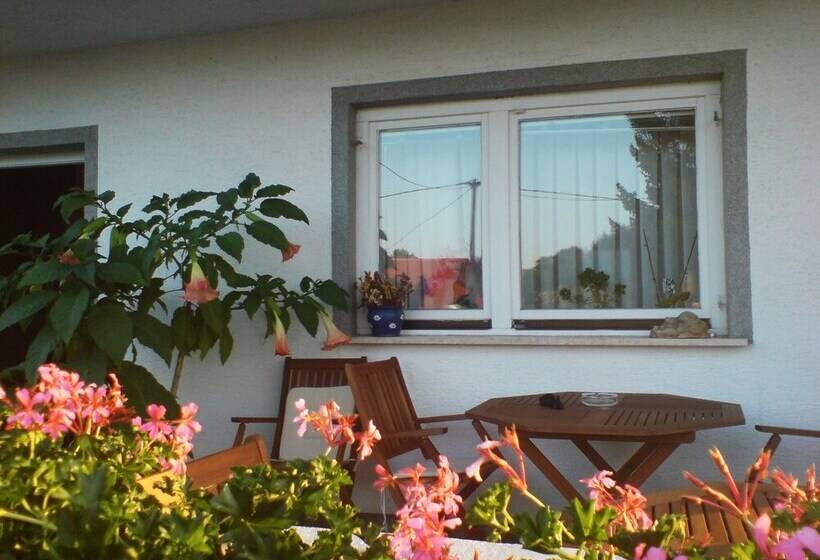 بنسيون Ranch Terra