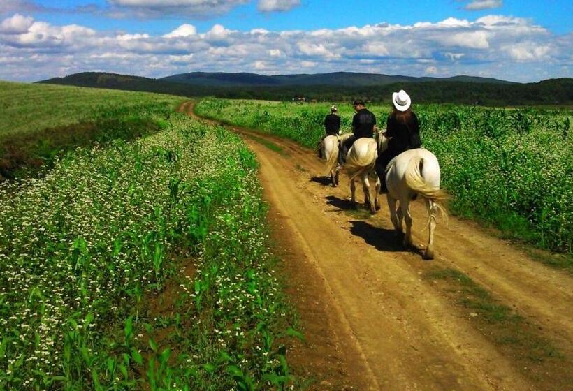 بنسيون Ranch Terra