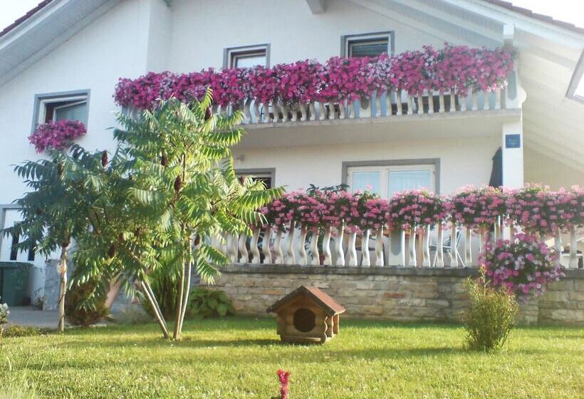 بنسيون Ranch Terra