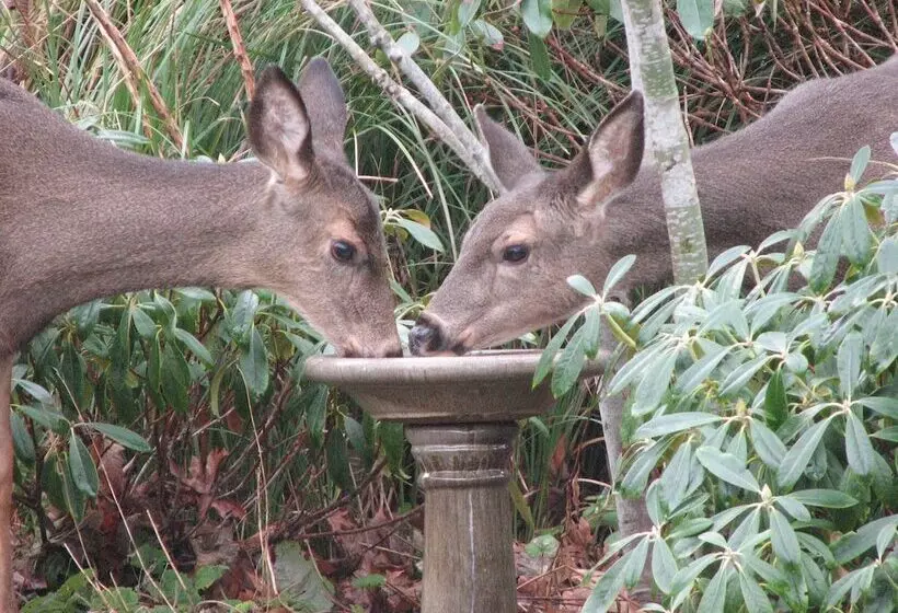 Majatalo Skiff Point Guest House