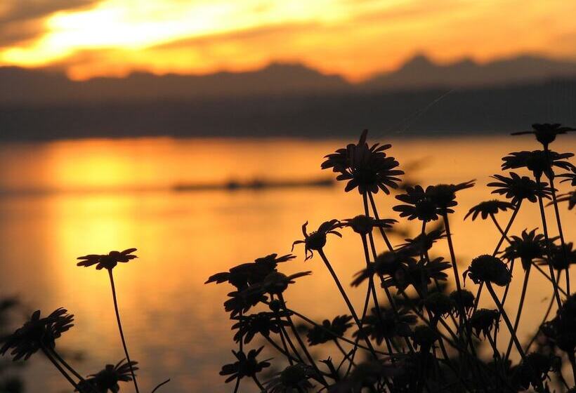 Pensionat Skiff Point Guest House