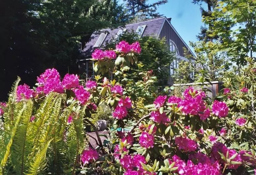 Majatalo Skiff Point Guest House