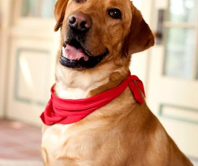 B. F. Hiestand House Bed & Breakfast