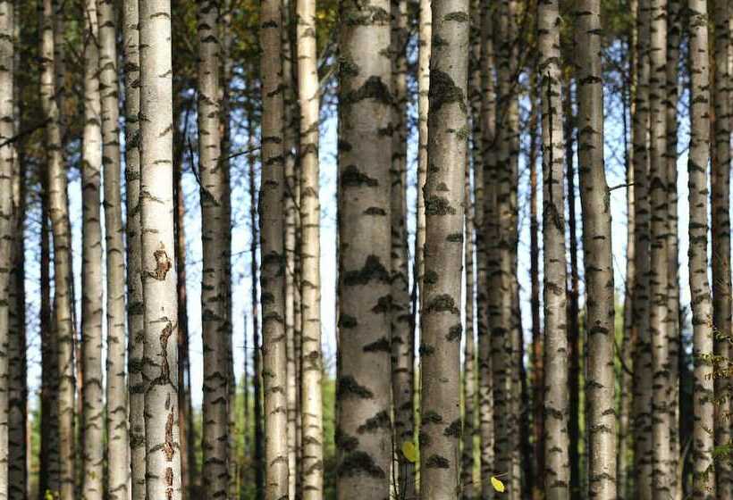 Bed & Breakfast Hepokatti