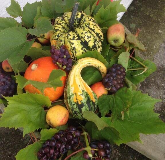 Gamla Bryggeriets B&b