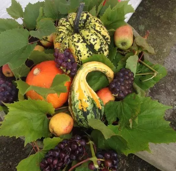 Gamla Bryggeriets B&b