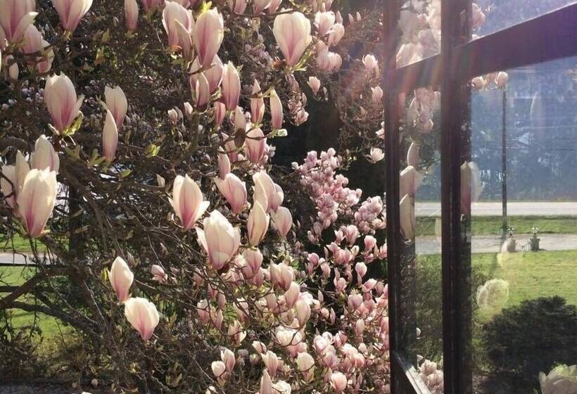 Hotel Blaylock's Mansion