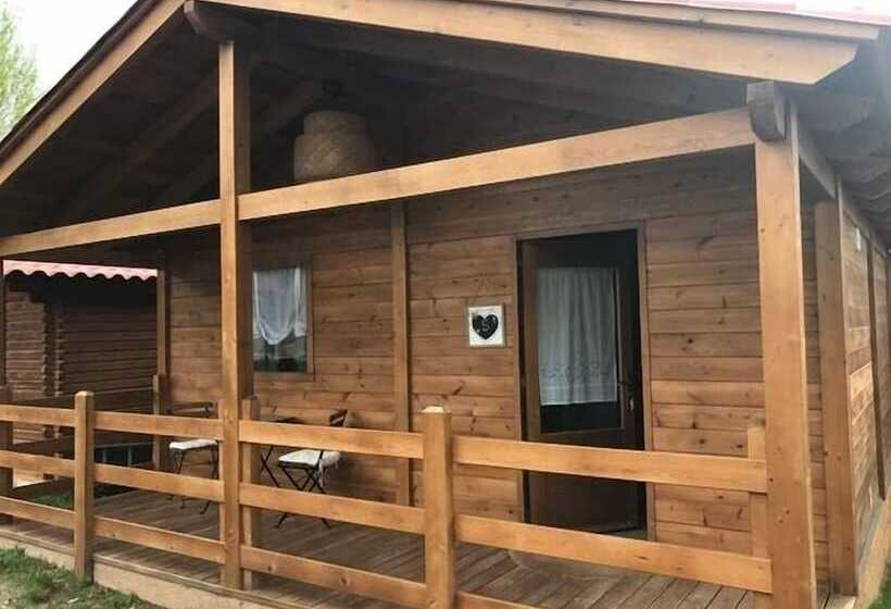 Отель Camping Puigcercós