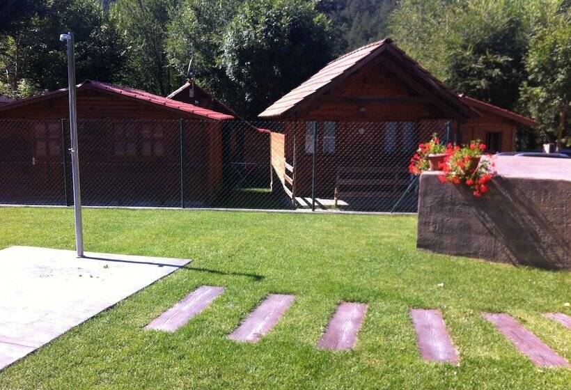 Отель Camping Puigcercós
