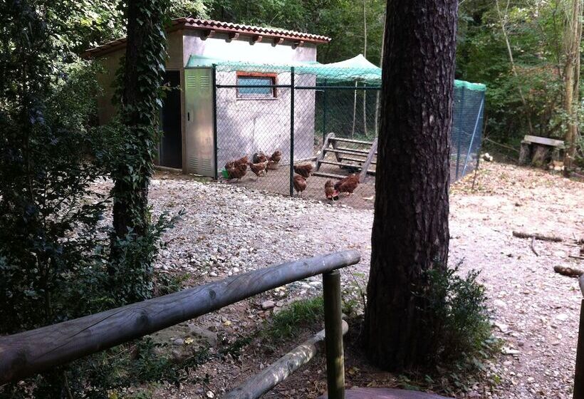 Отель Camping Puigcercós