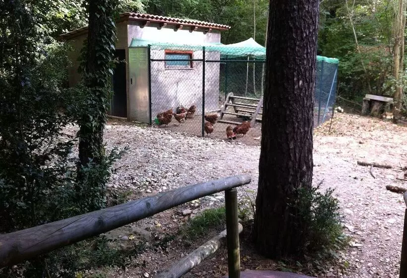 Hotelli Camping Puigcercós