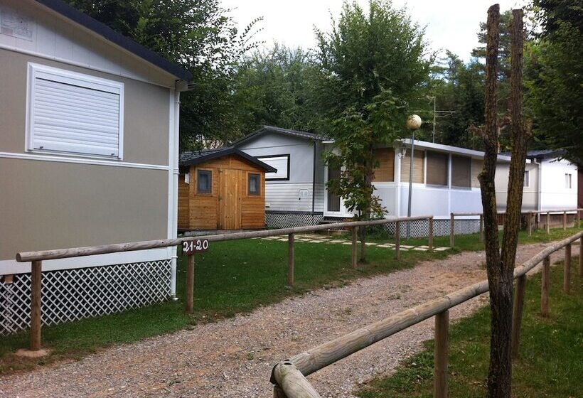 Отель Camping Puigcercós