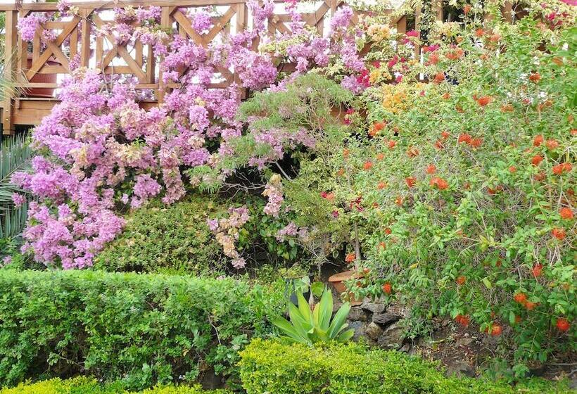 هتل Cases Couleurs