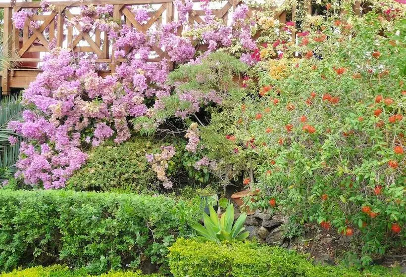 هتل Cases Couleurs