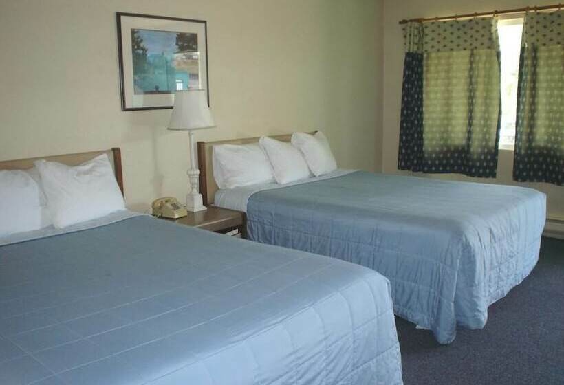 汽车旅馆 Bayside Motor Inn