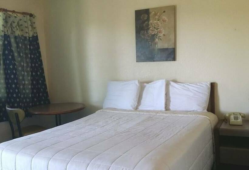 汽车旅馆 Bayside Motor Inn