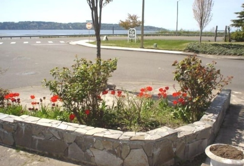 汽车旅馆 Bayside Motor Inn