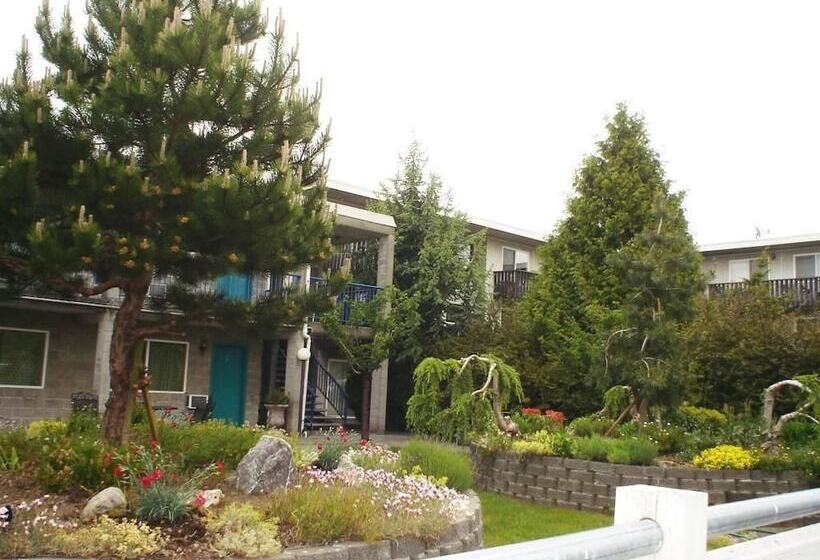 汽车旅馆 Bayside Motor Inn