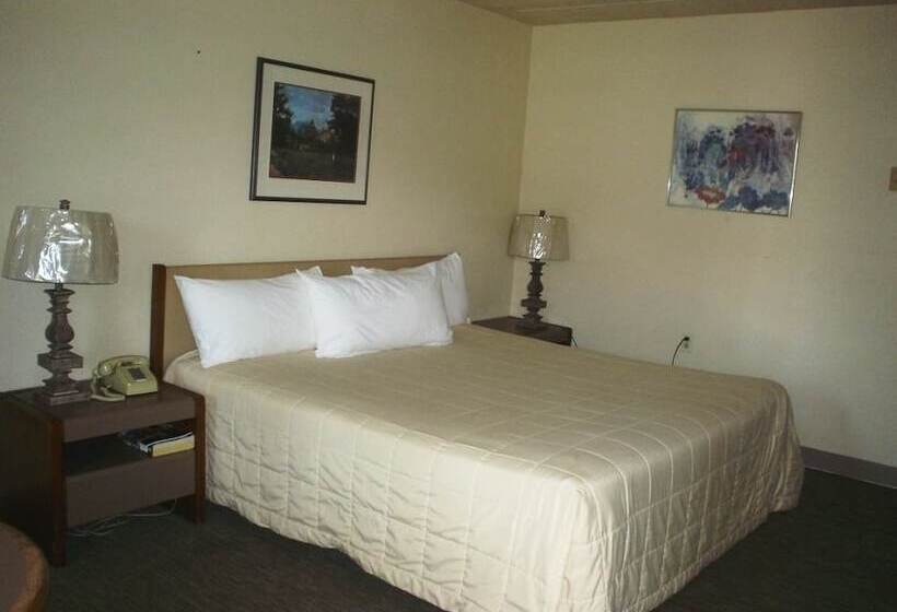 汽车旅馆 Bayside Motor Inn