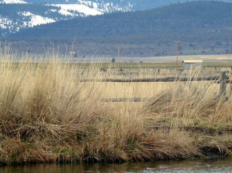 汽车旅馆  Hunters Hot Springs Resort