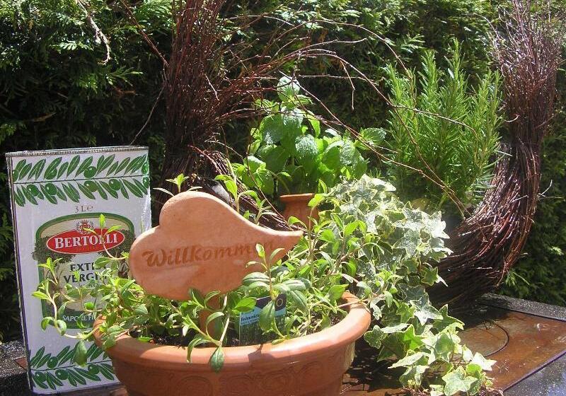 Arthotel Ana Panorama