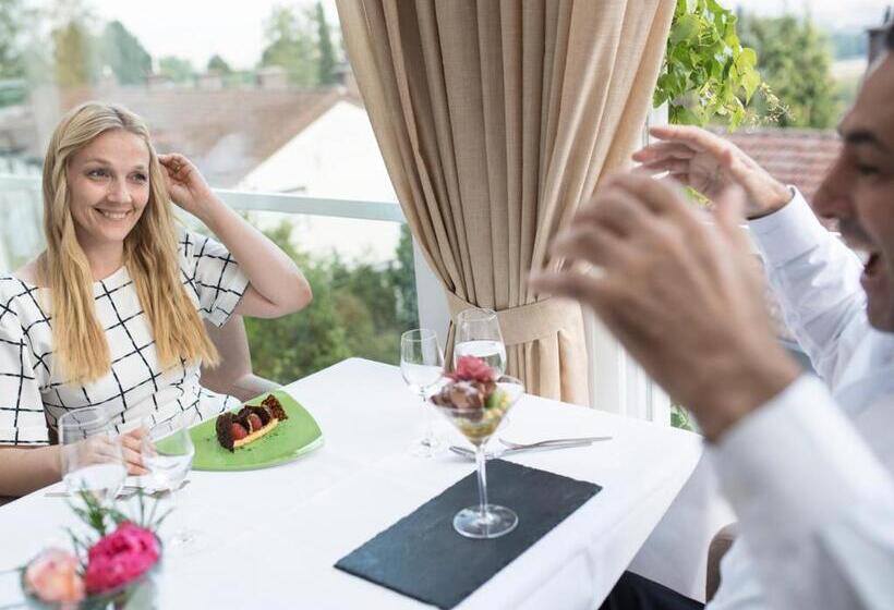 Design Konferenzhotel & Restaurant Steinernes Schweinchen