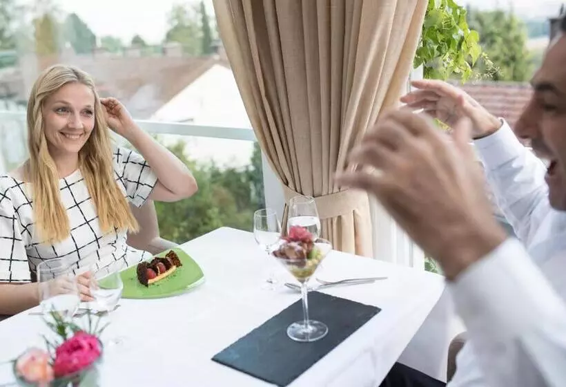 Design Konferenzhotel & Restaurant Steinernes Schweinchen