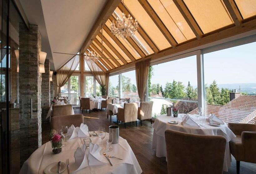 Design Konferenzhotel & Restaurant Steinernes Schweinchen