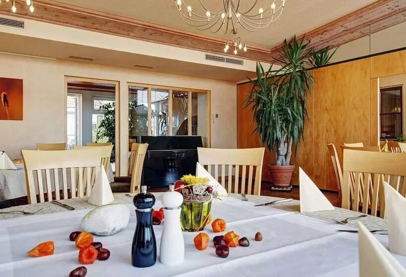 Отель Bauer Großbettlingen